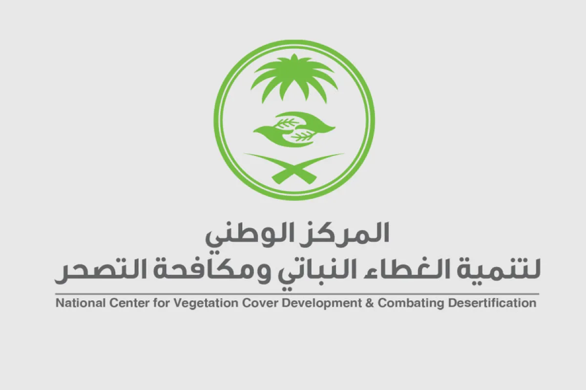 مكة المكرمة تتوشح باللون الأخضر