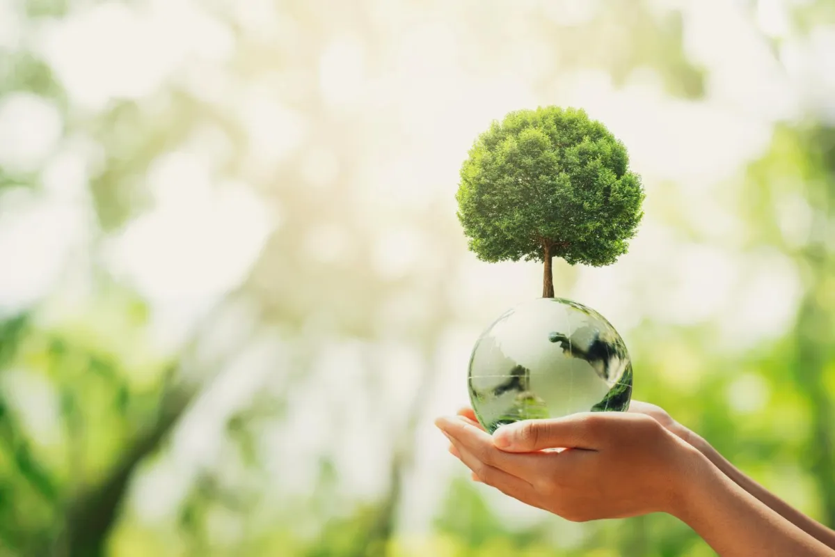 أفكار مشاريع مستدامة يزداد الإقبال عليها مستقبلًا.. "الصورة من Adobestock"