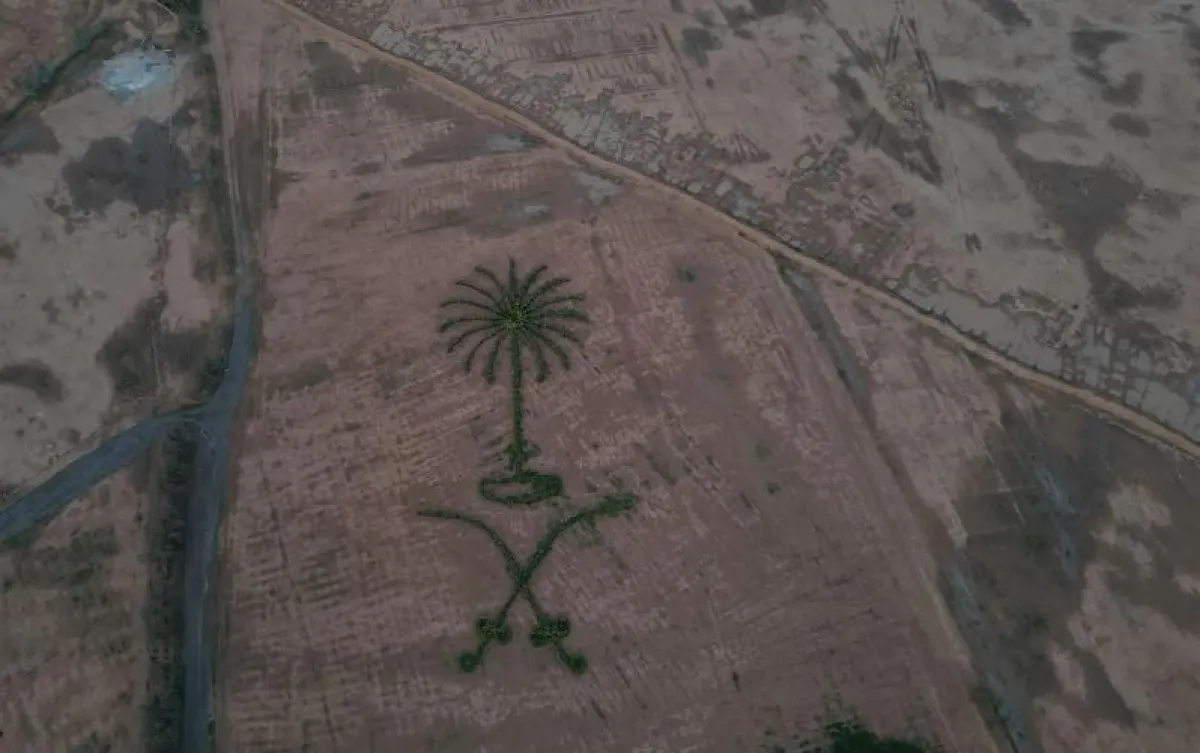 مواطن سعودي يزين محافظة رفحاء بشعار المملكة.. دعماً لمبادرة السعودية الخضراء - الصورة من واس