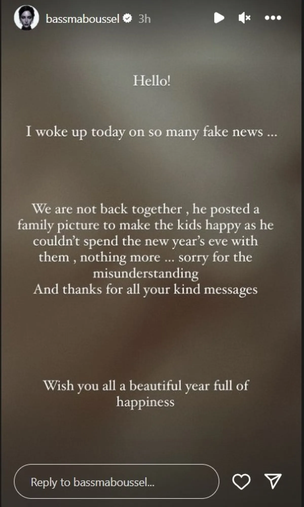 رد بسمة بوسيل- الصورة لقطة شاشة من ستوري حسابها على إنستغرام