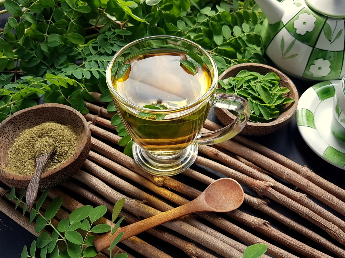 فوائد وأضرار شاي غصن البان منها عدم زيادة الوزن مع طبيبة