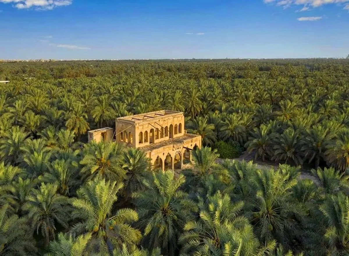 الأحساء هي واحة جميلة تقع في المنطقة الشرقية بالسعودية