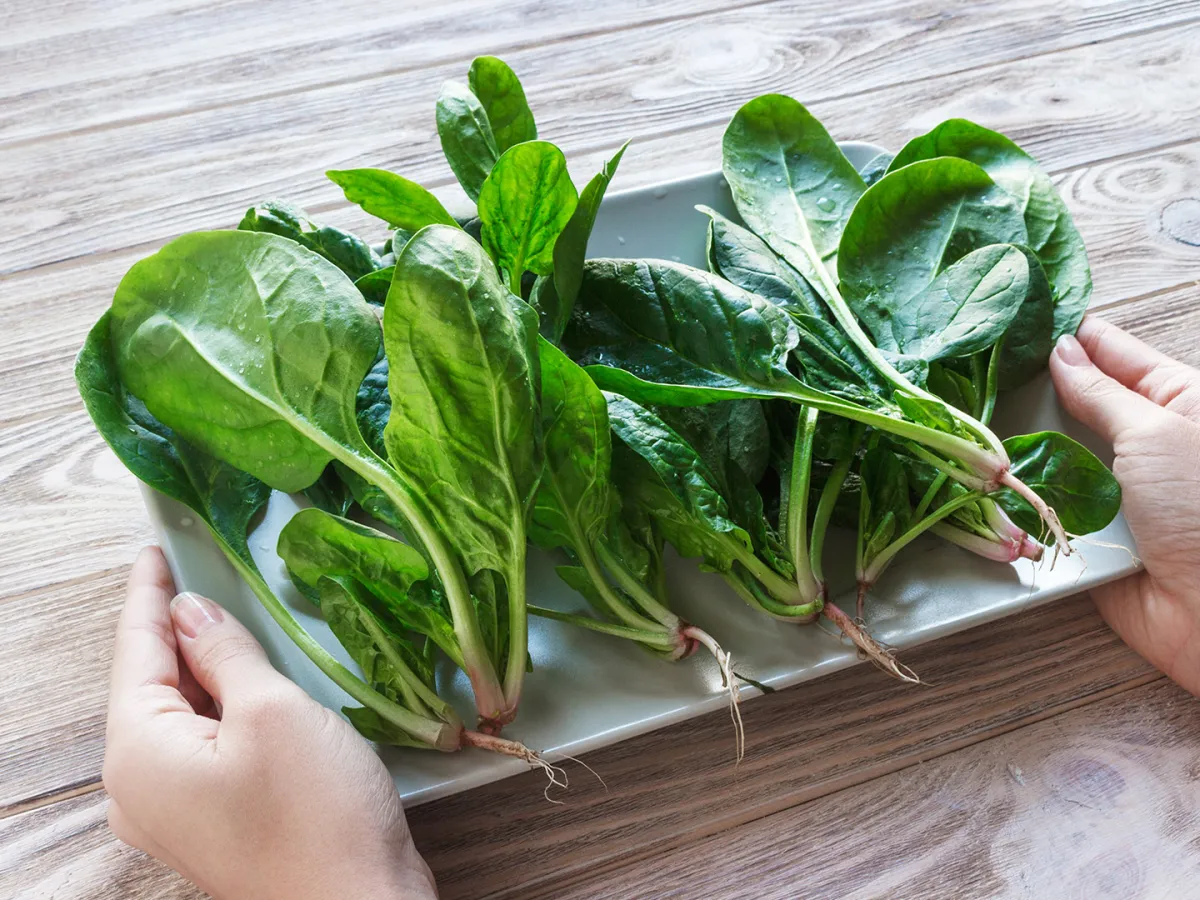 أيهما أفضل السبانخ النيء أم المطبوخ برأي طبيبة تغذية؟