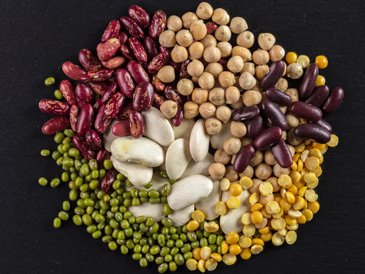 فوائد البقوليات لا تُحصى أبرزها تعديل نسبة السكر في الدم