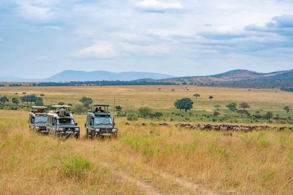 ماساي مارا تعد محمية للحياة البرية ذات شهرة عالمية