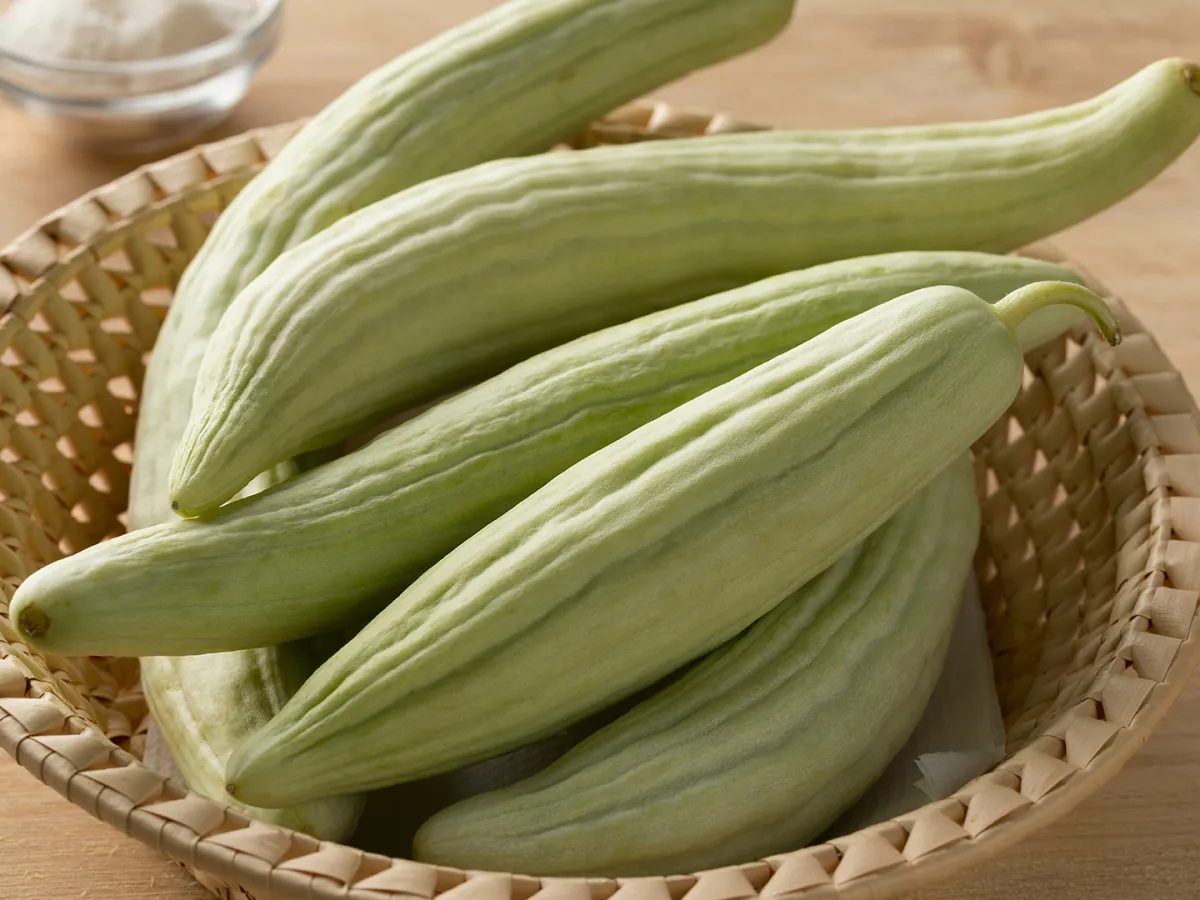 القثاء مفيد للتسمين والتنحيف في الوقت نفسه