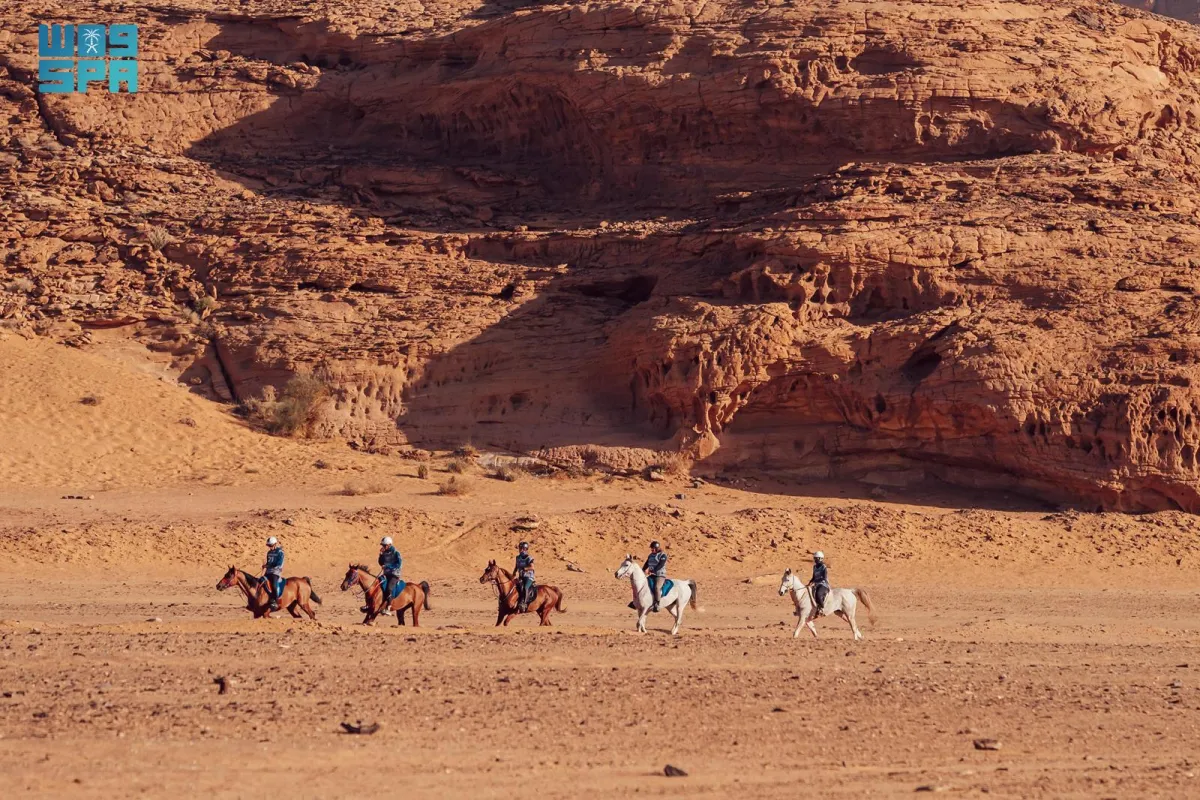 20% من المشاركين في "بطولة كأس خادم الحرمين الدولية للقدرة والتحمل بالعلا" فارسات