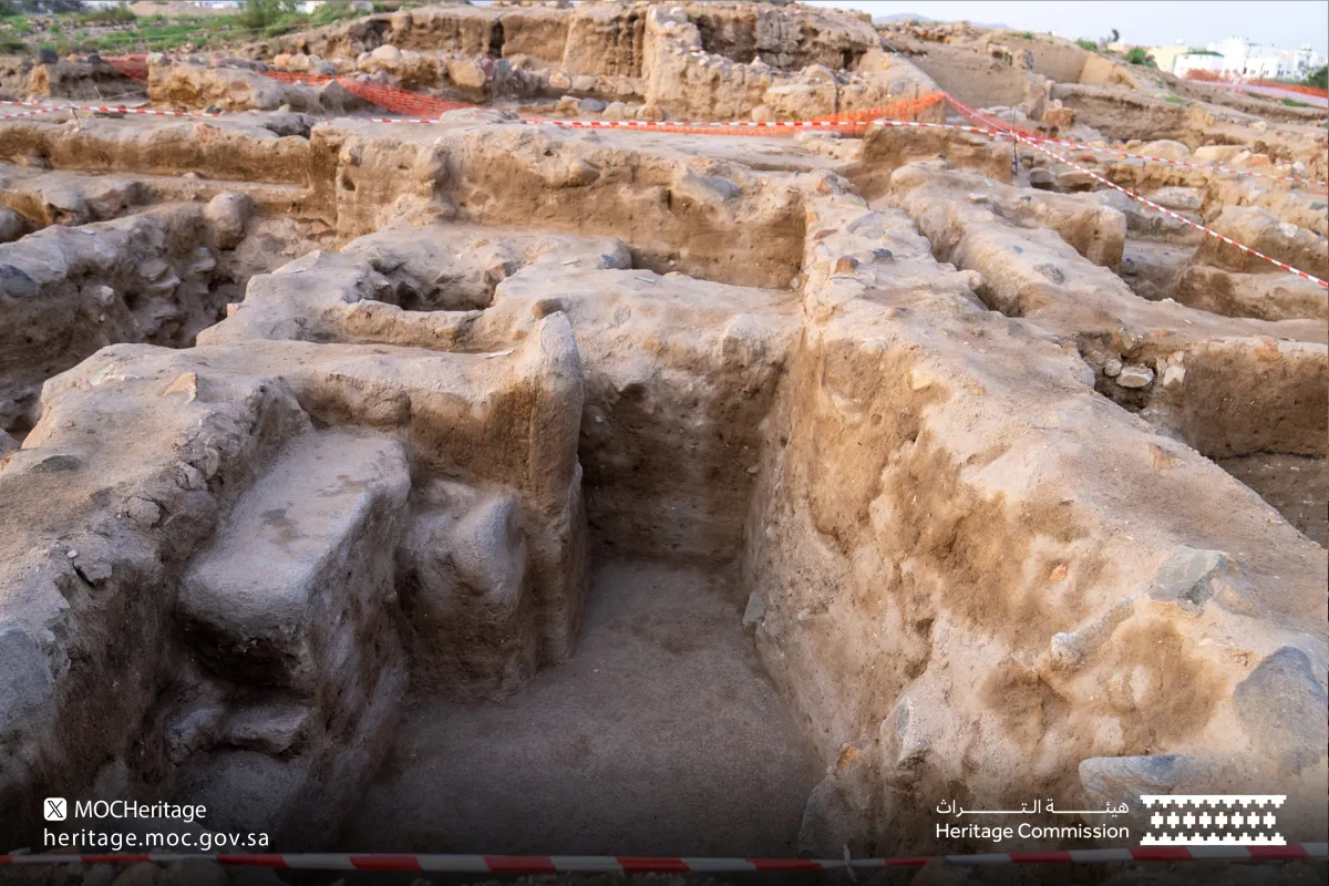 من المكتشفات