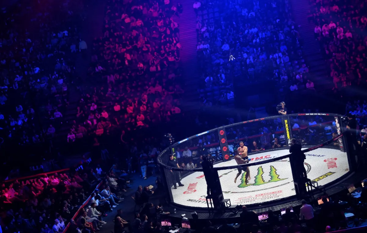 تعرّفوا إلى أصول وتاريخ الفنون القتالية المختلطة - (مصدر الصورة: FRANCK FIFE / AFP)