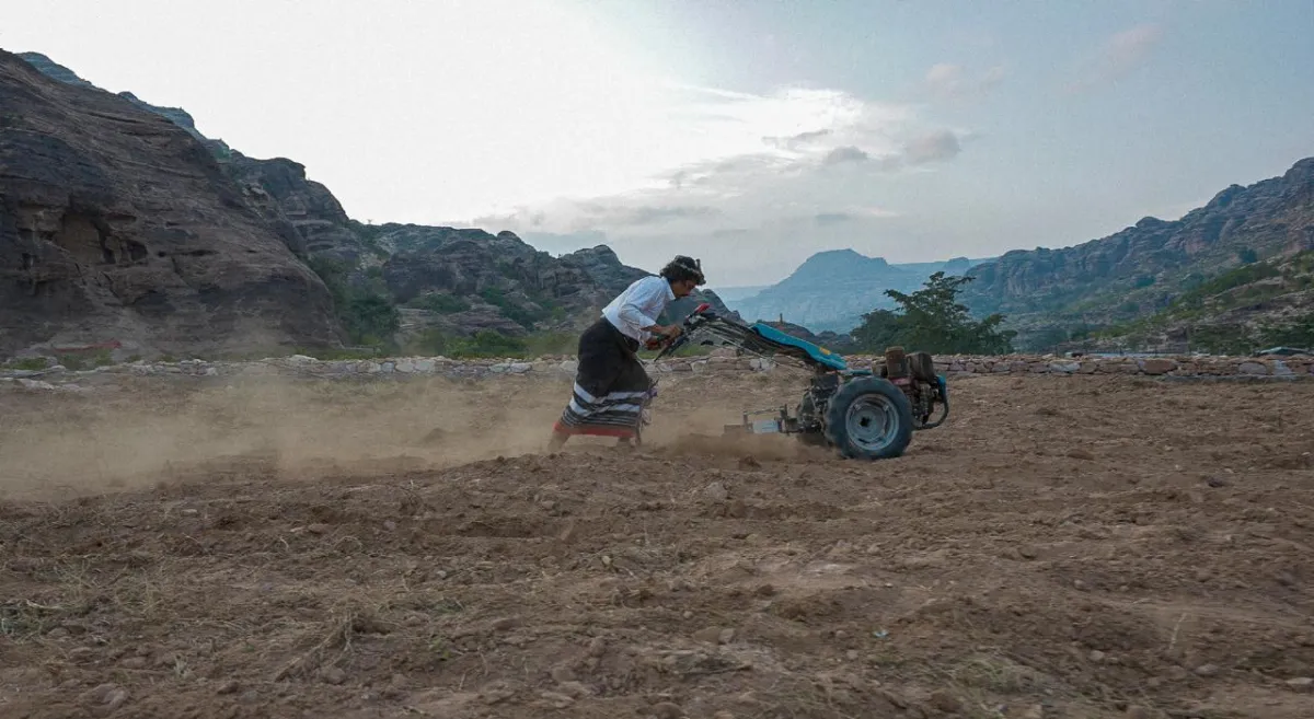 الميكنة الزراعية قلّلت تكلفة زراعة المحاصيل بنسبة 70%