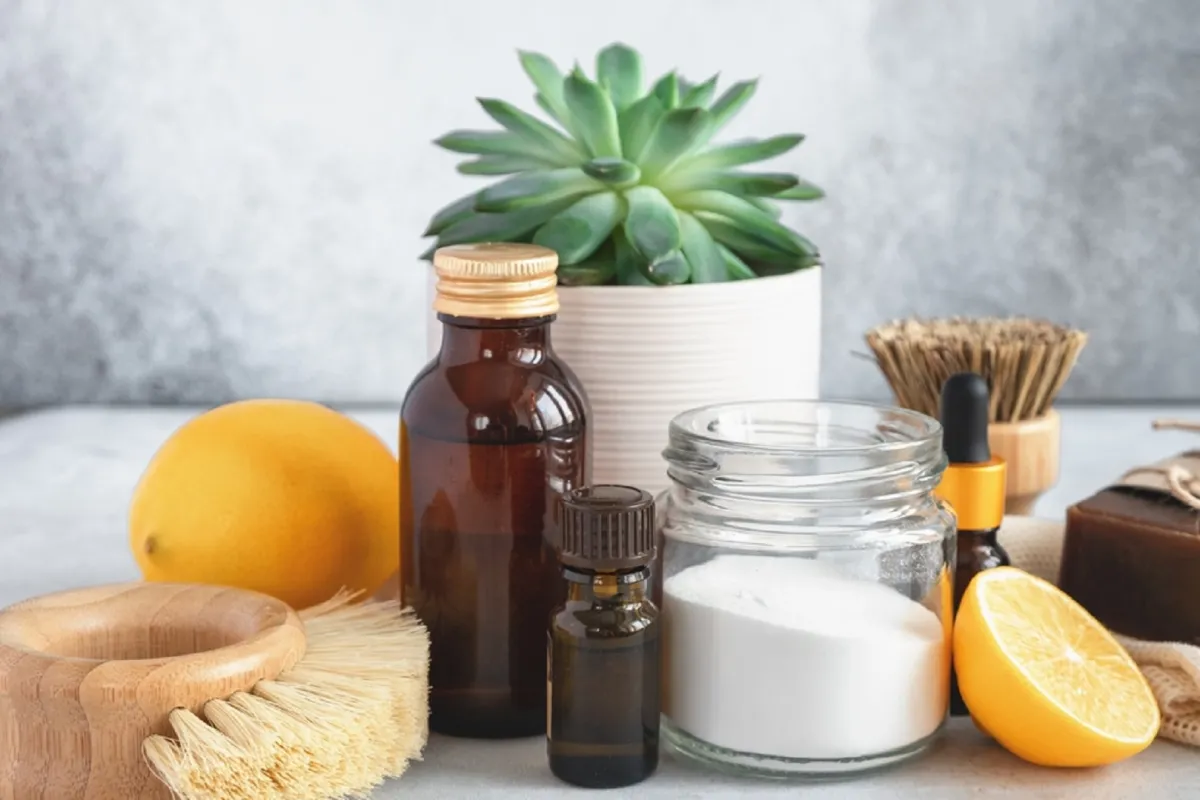 تنظيف المنزل بصورة مستدامة