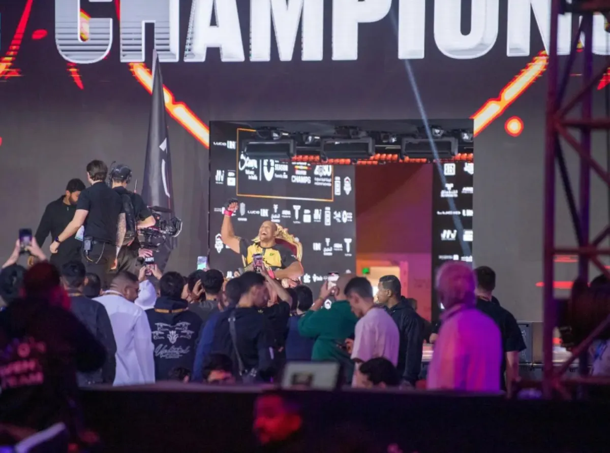 الفنون القتالية