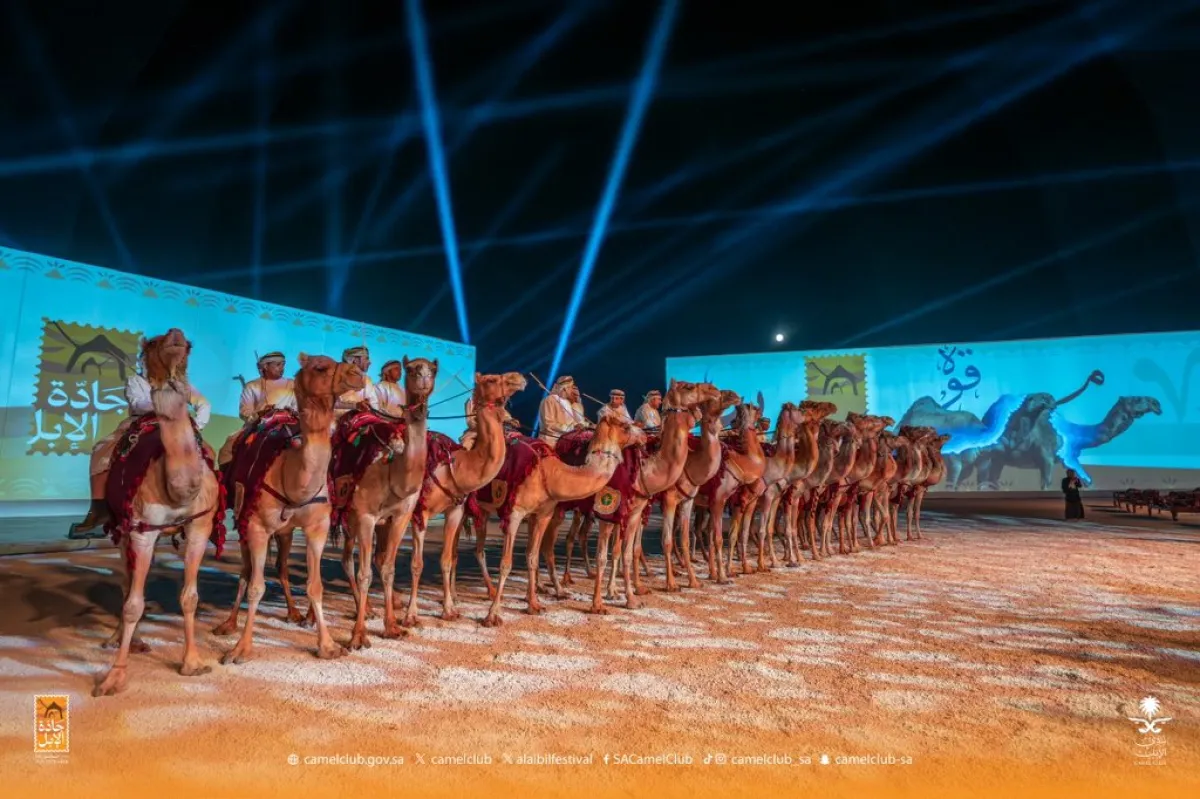مهرجان "جادة الإبل"