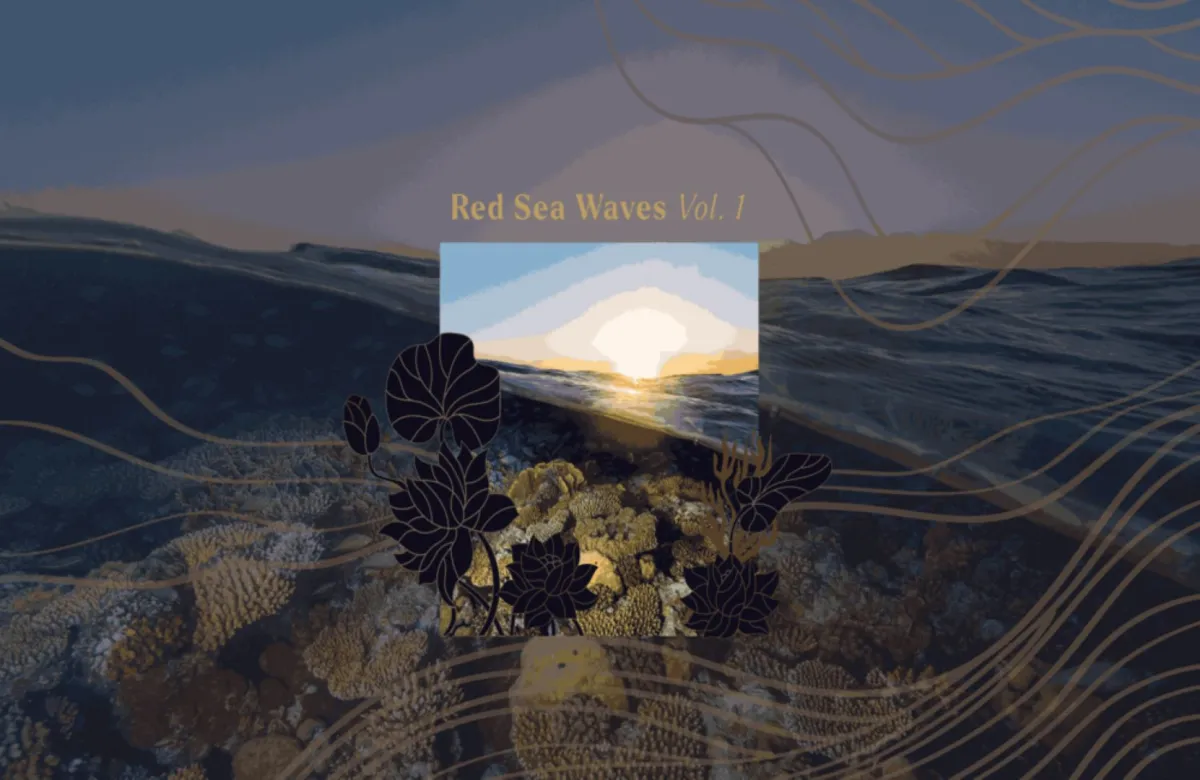 شركة البحر الأحمر الدولية