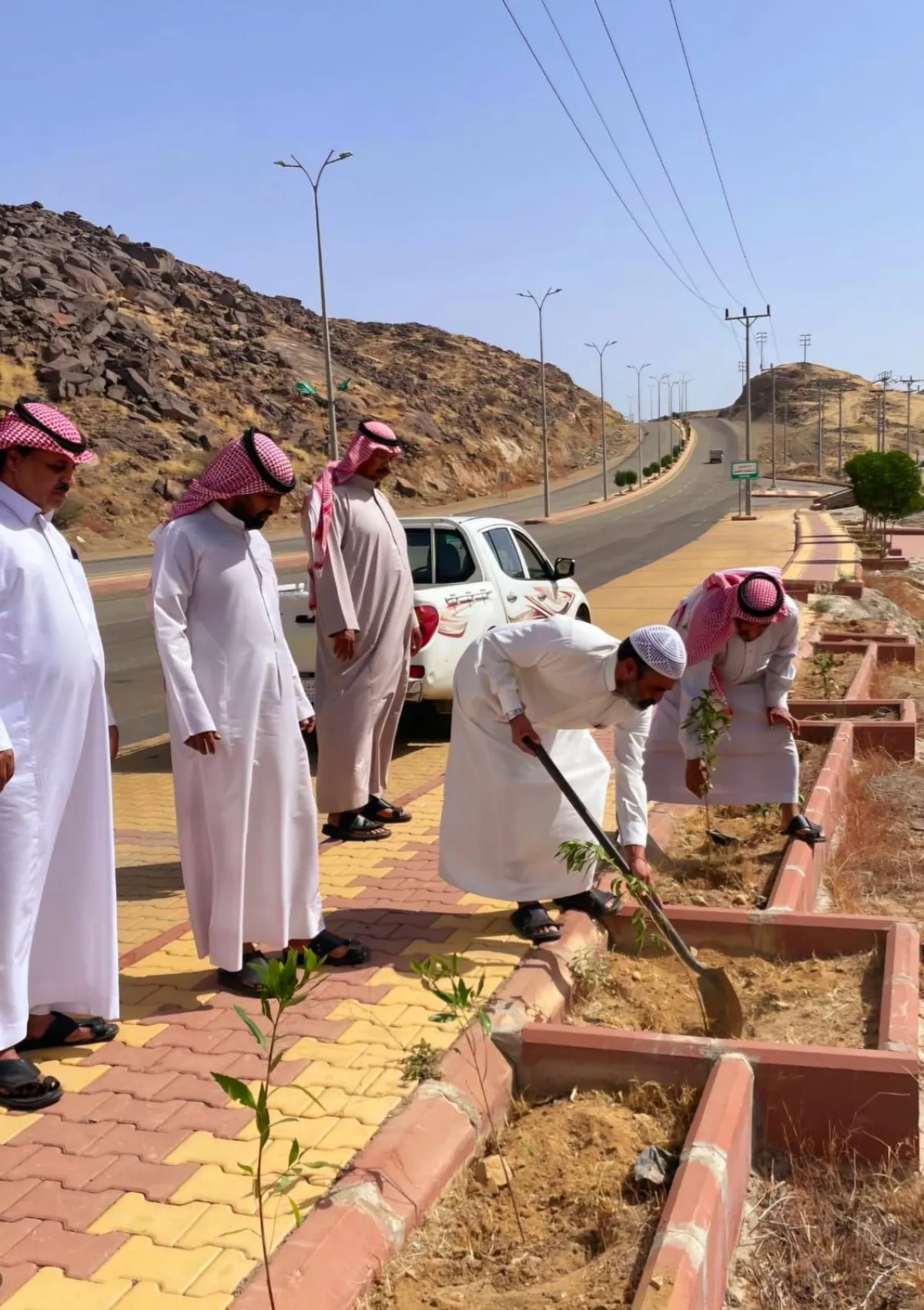  مبادرة تطوعية للتشجير