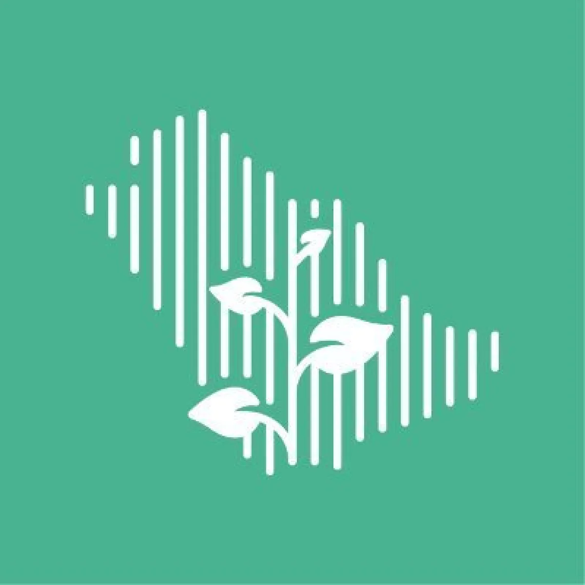 مبادرة السعودية الخضراء