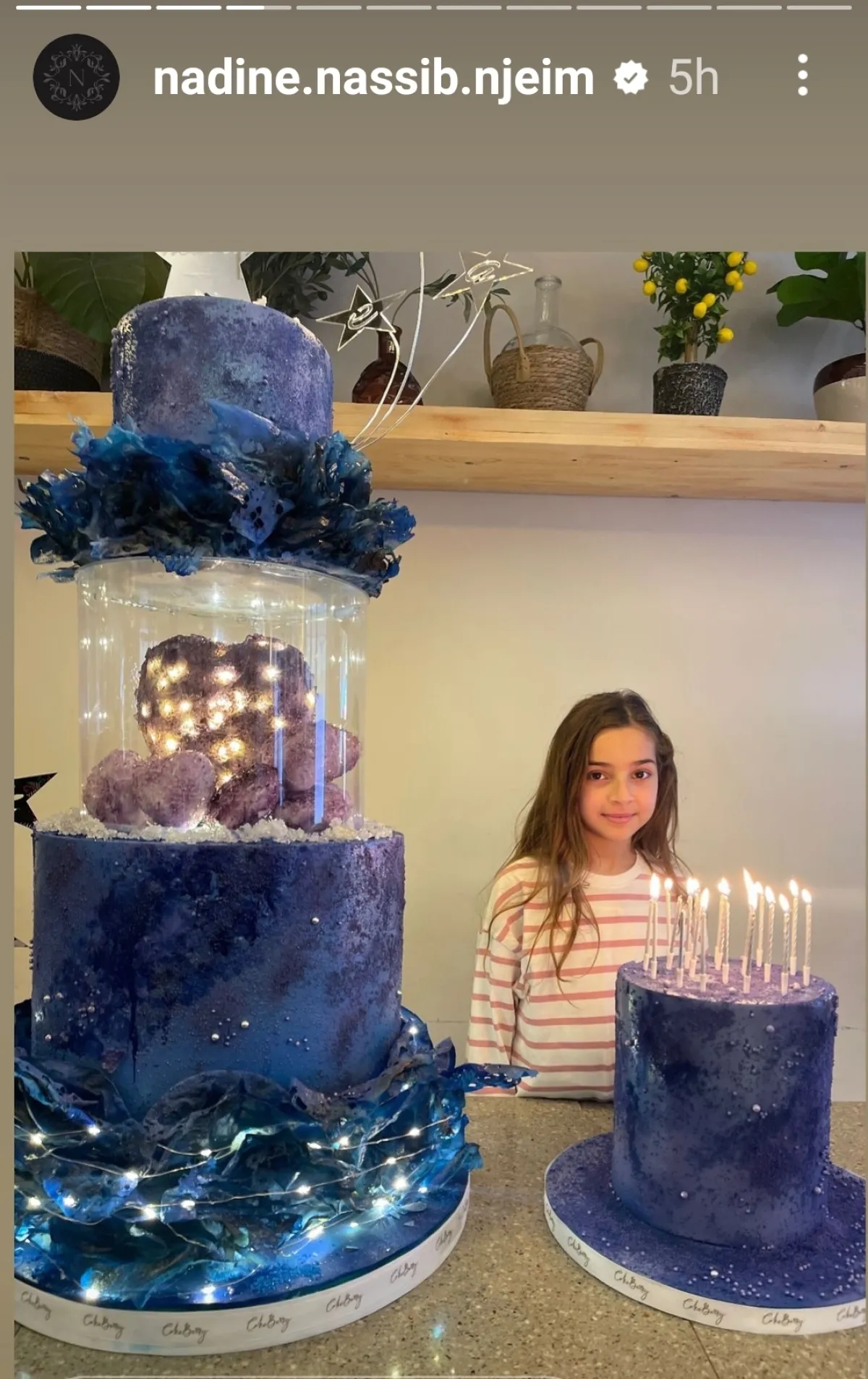 هافن- الصورة من ستوري حساب نادين نجيم على إنستغرام