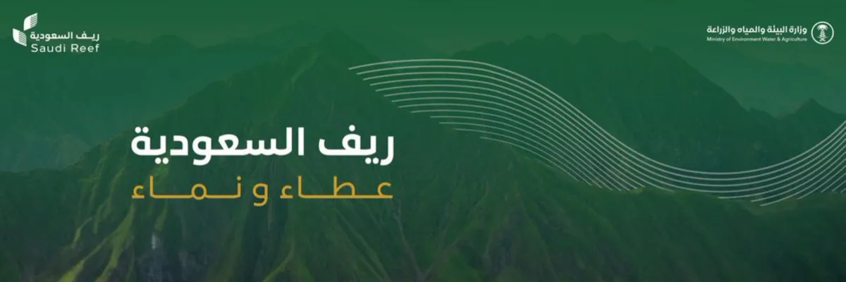 برنامج ريف