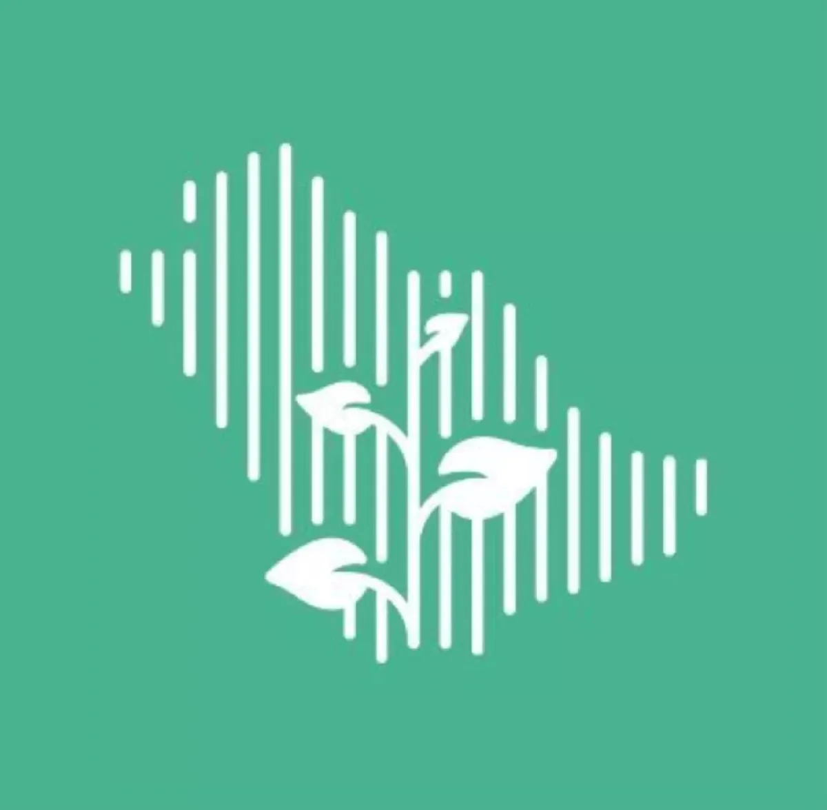 المملكة تحتفي بيوم مبادرة السعودية الخضراء