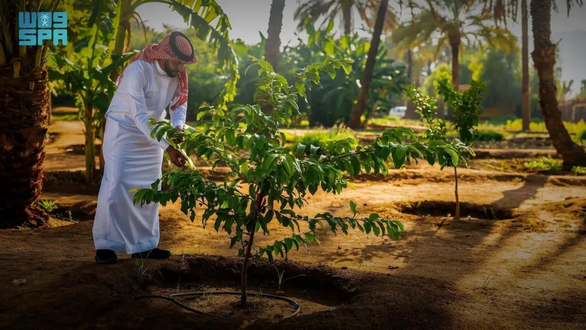 اختيار يوم 27 مارس من كل عام مناسبةً سنويةً توعويةً تحت اسم "يوم مبادرة السعودية الخضراء"