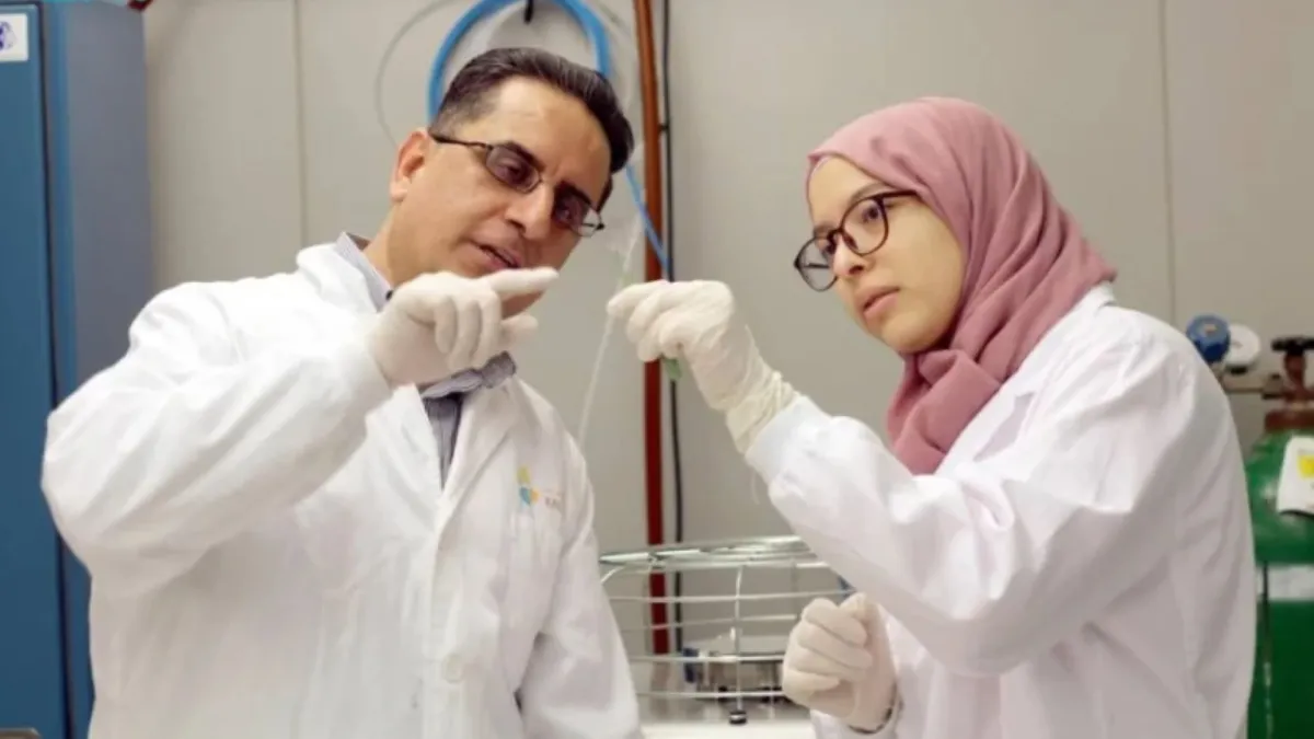 إنجازات بحثية