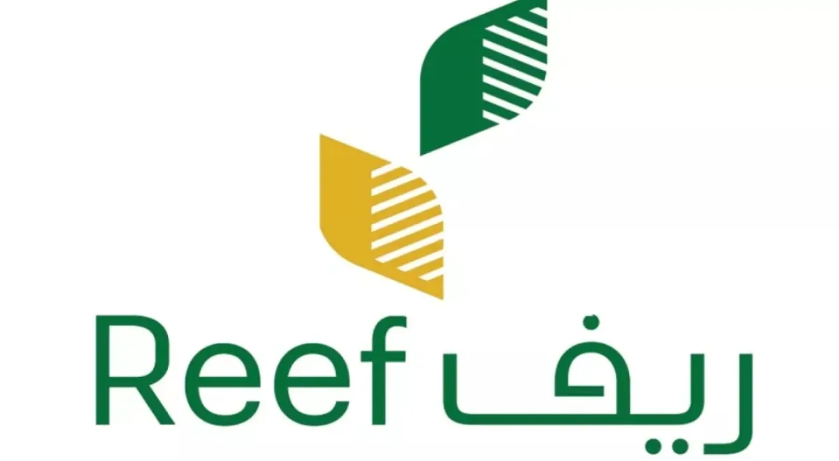 برنامج ريف