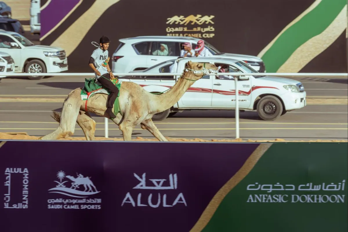 وزارة الثقافة تُشارك بجناح مبادرة عام الإبل 2024 في كأس العُلا للهجن  - الصورة من حساب الاتحاد السعودي للهجن على منصة إكس