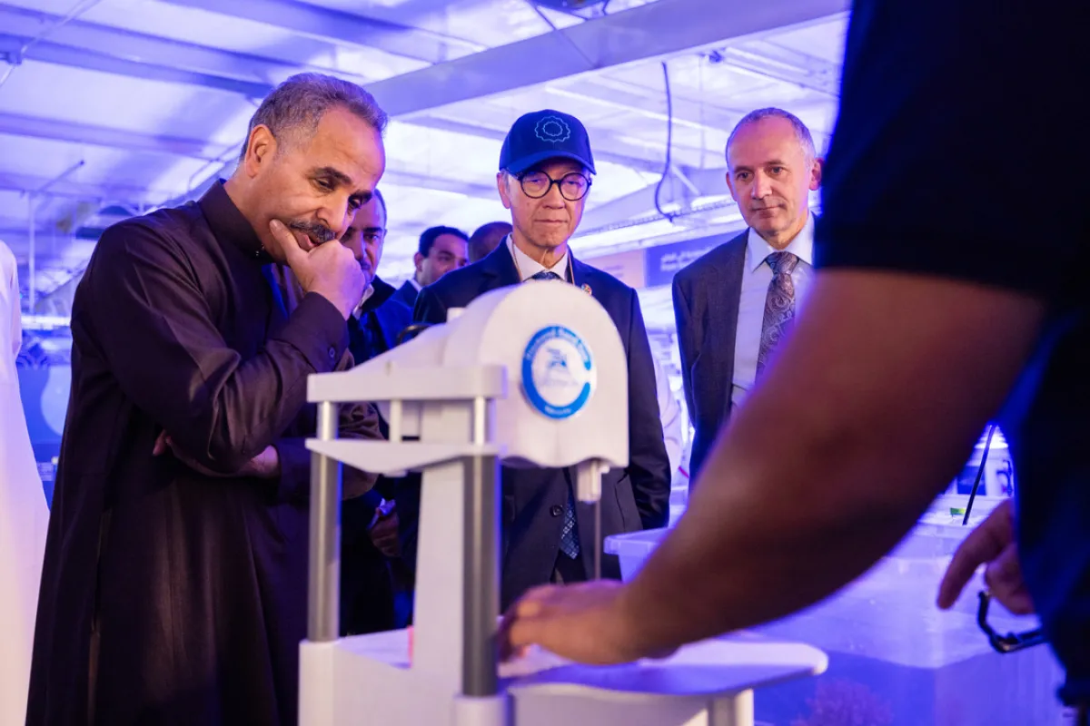 أكبر مشروع لإحياء الشعاب المرجانية في العالم - الصورة من موقع كاوست الرسمي على الإنترنت