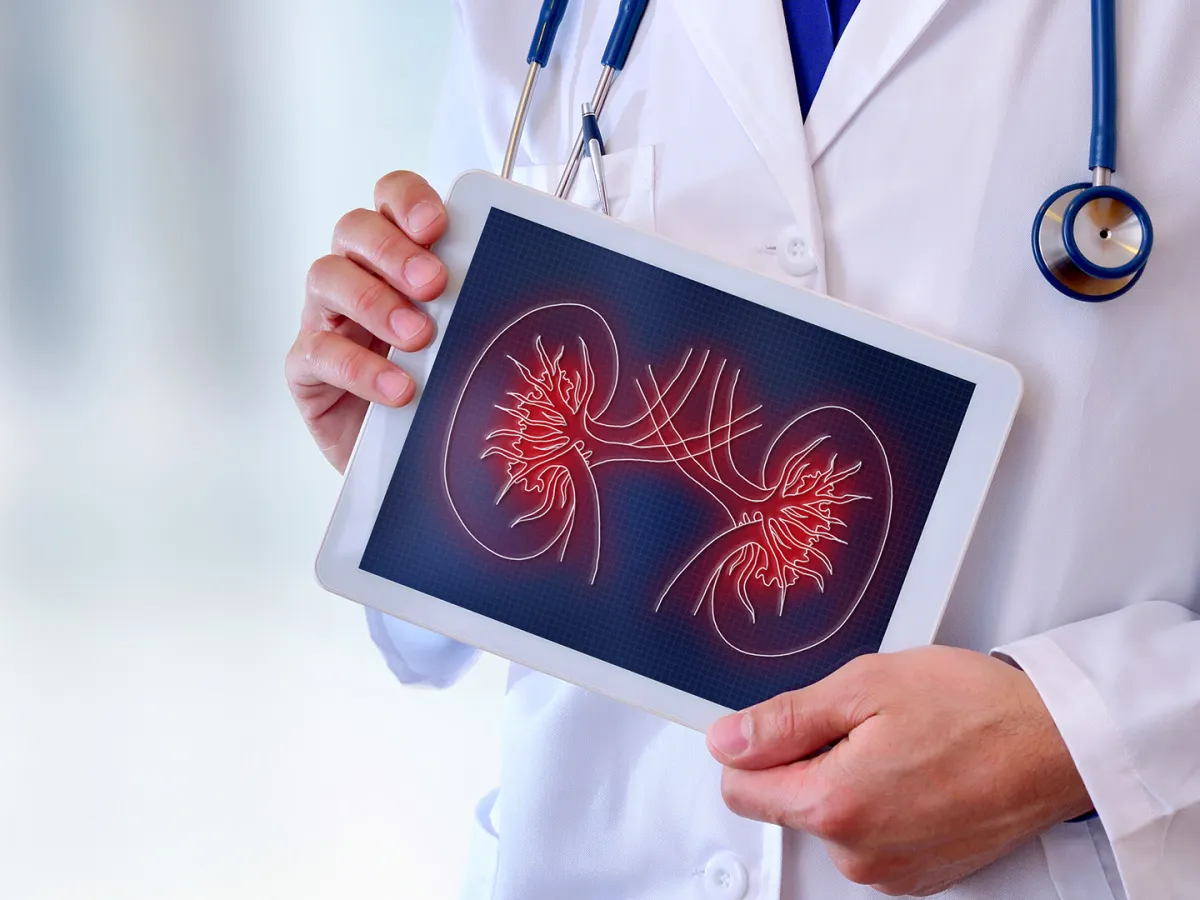 الحفاظ على صحة الكلى وتنظيف الجسم من السموم 