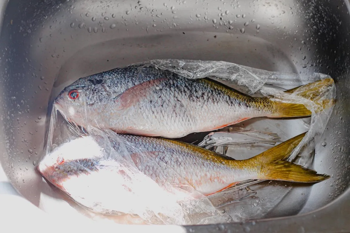 صورة لنوع من الأسماك المملحة