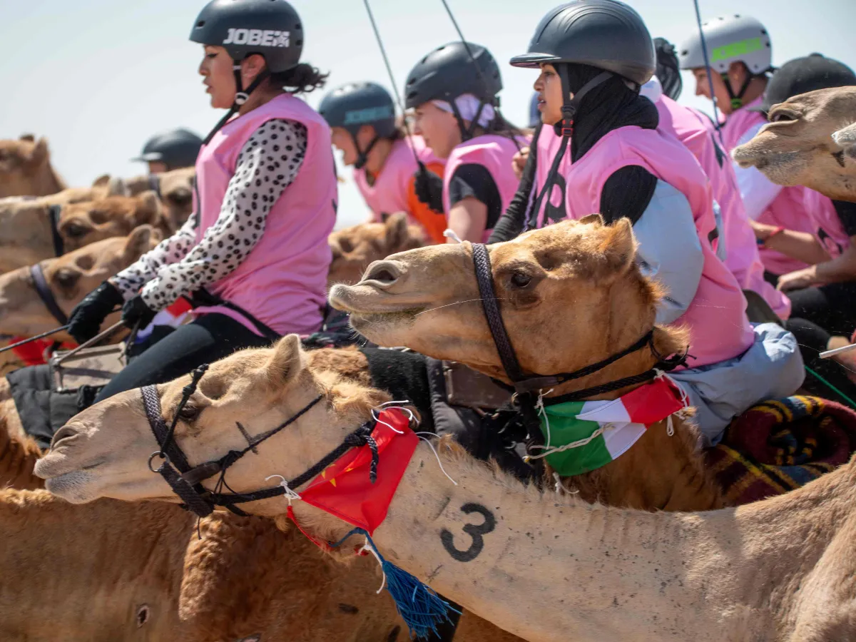 ماراثون رحلة الهجن. الصورة من مركز حمدان لإحياء التراث