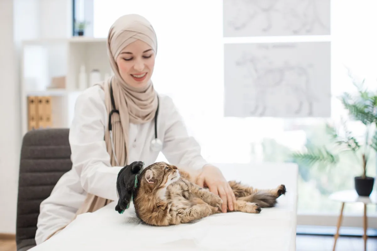 صورة طبيببة بيطرية مع القطة