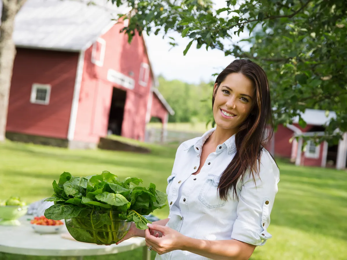 فوائد الراوند وأضراره