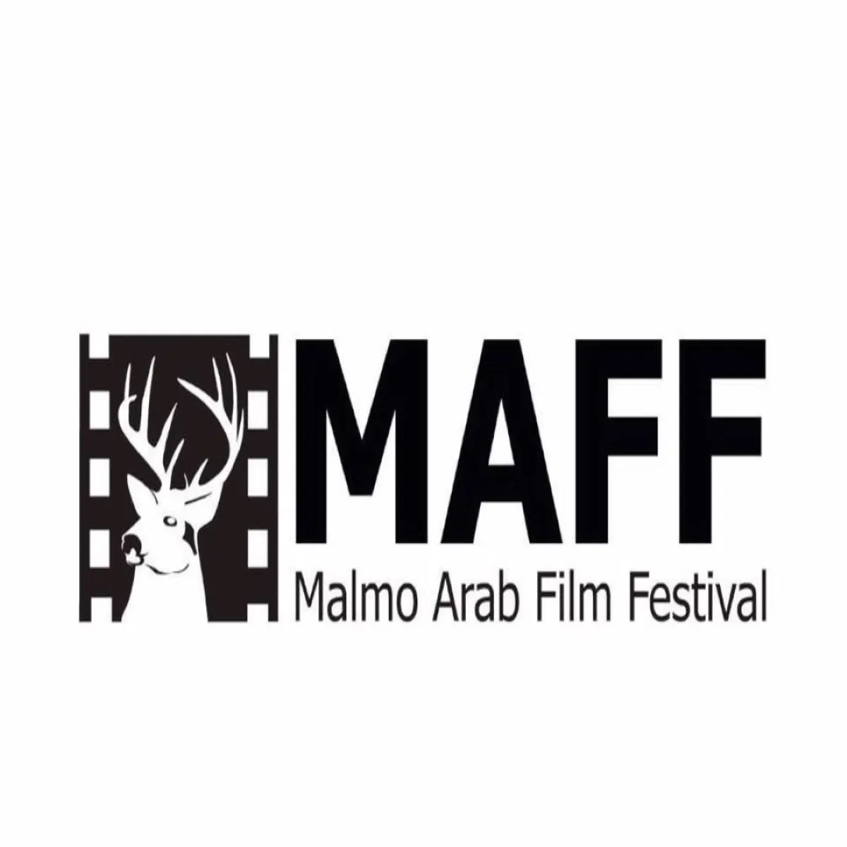 مهرجان مالمو للسينما العربية - الصورة من الصفحة الرسمية للمهرجان على "فيسبوك"