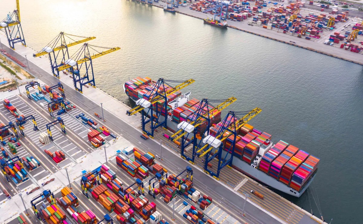 وصول دبي إلى مصاف اللاعبين الكبار ضمن القطاع البحري العالمي. الصورة من مكتب دبي الإعلامي