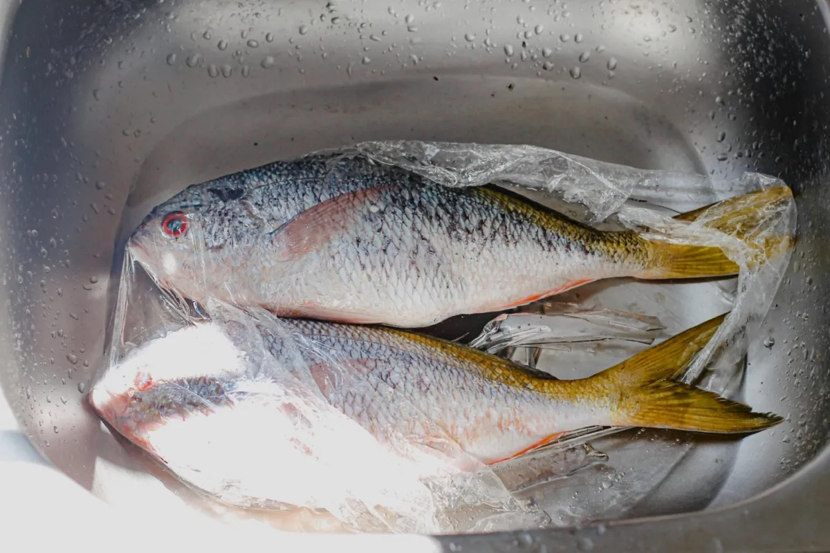 تفسير حلم أكل الفسيخ في المنام