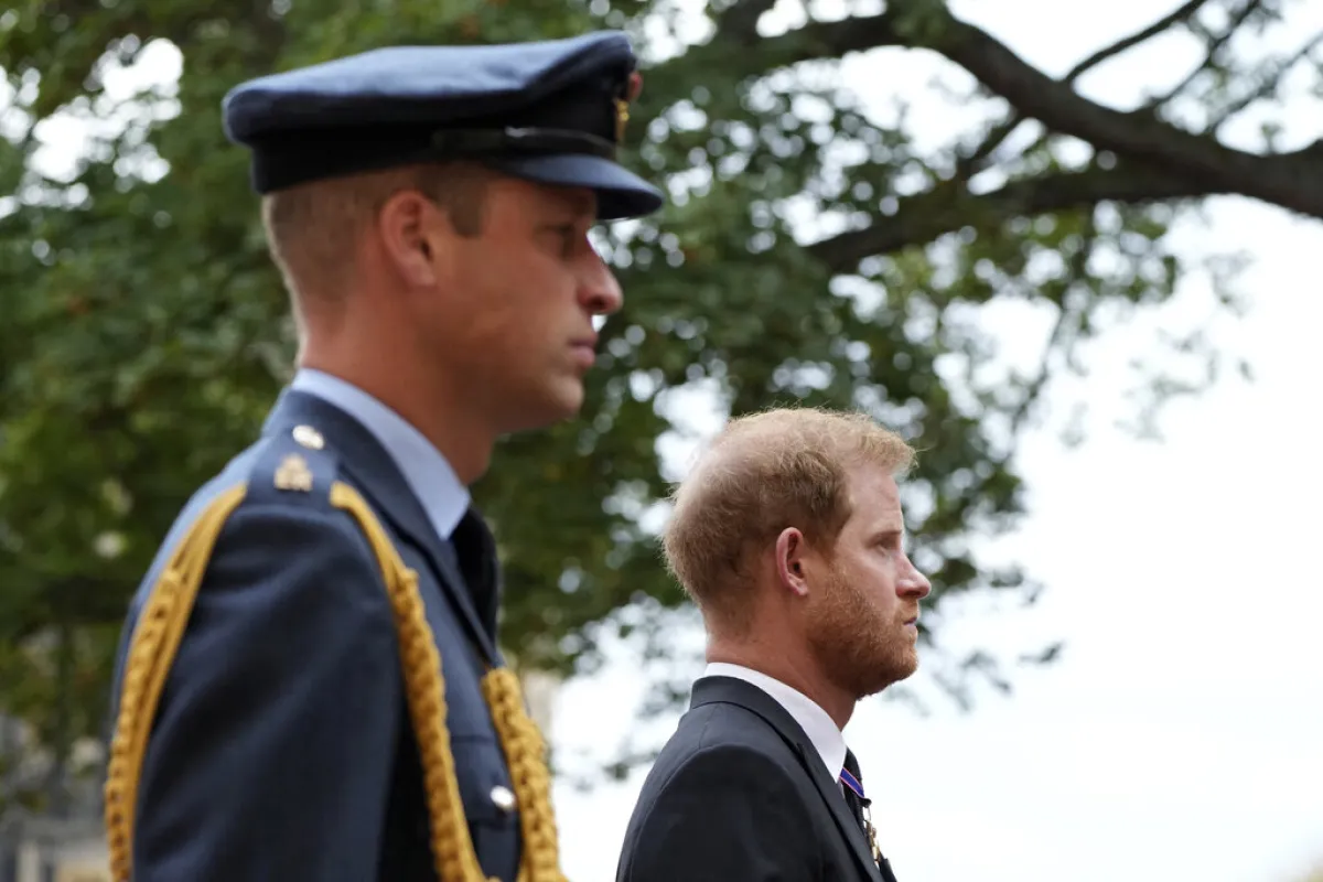 الأمير هاري والأمير ويليام Prince William and Prince Harry في جنازة الملكة إليزابيث (مصدر الصورة: Jon Super / POOL / AFP)
