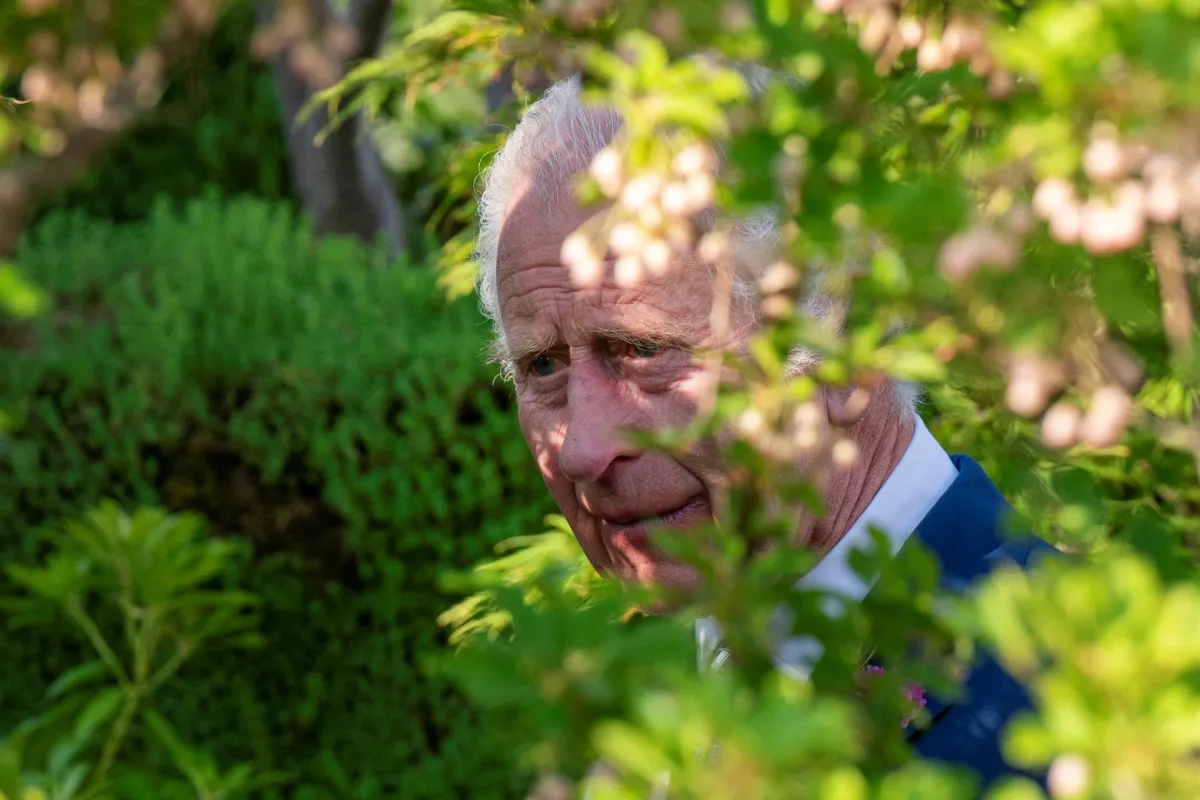 الملك تشارلز الثالث يزور معرض RHS Chelsea للزهور لعام 2024 في لندن (King Charles III visits the 2024 RHS Chelsea Flower Show in London). مصدر الصورة: Arthur Edwards / POOL / AFP