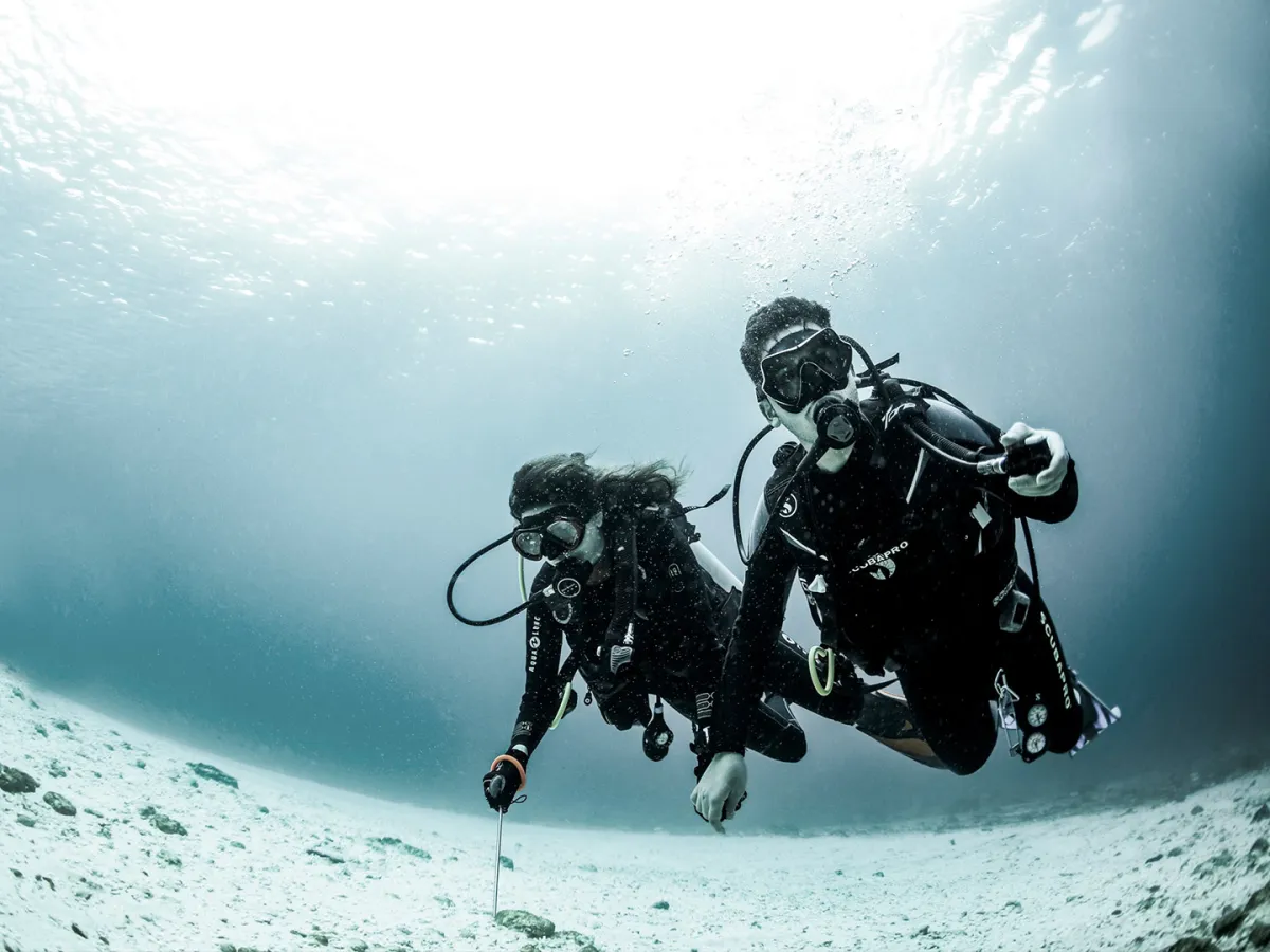 المصورة ميساء الهوتي تغوص في أعماق البحار - الصورة من المصدر