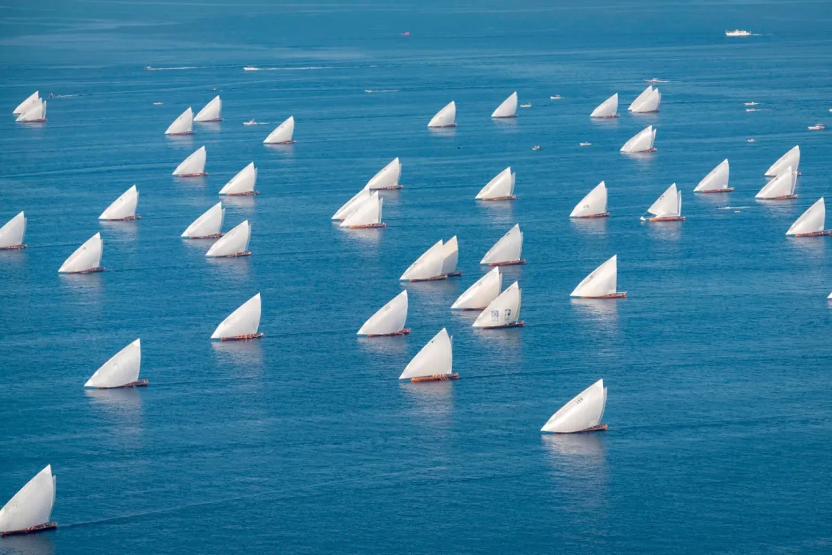 انطلاق سباق دلما - مصدر الصورة وكالة أنباء الإمارات