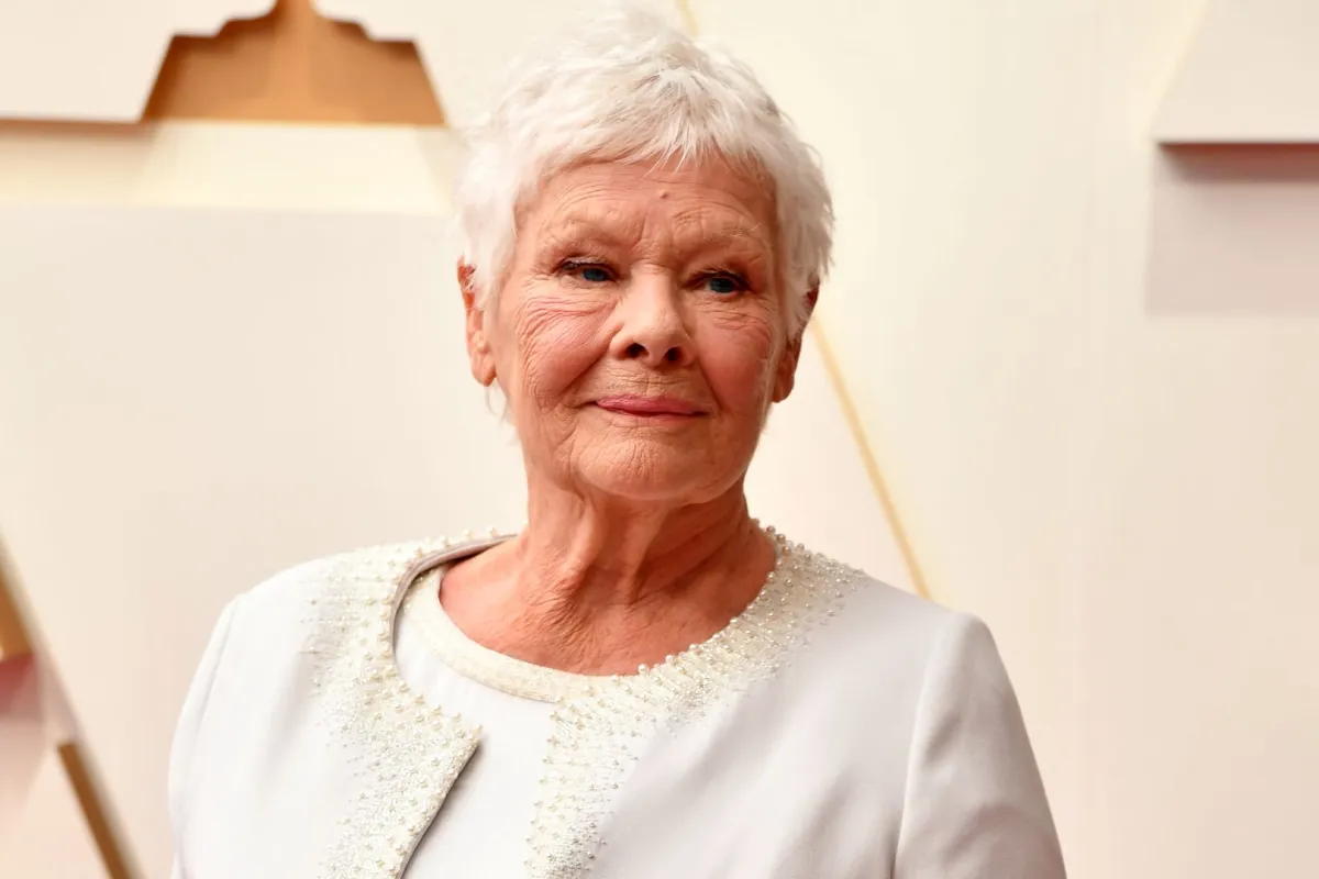 جودي دينش في مسرح دولبي في هوليوود، كاليفورنيا (Judi Dench at the Dolby Theatre in Hollywood, California). مصدر الصورة: ANGELA WEISS / AFP