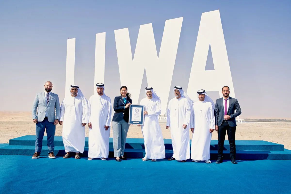 لوحة ليوا - مصدر الصورة وكالة أنباء الإمارات