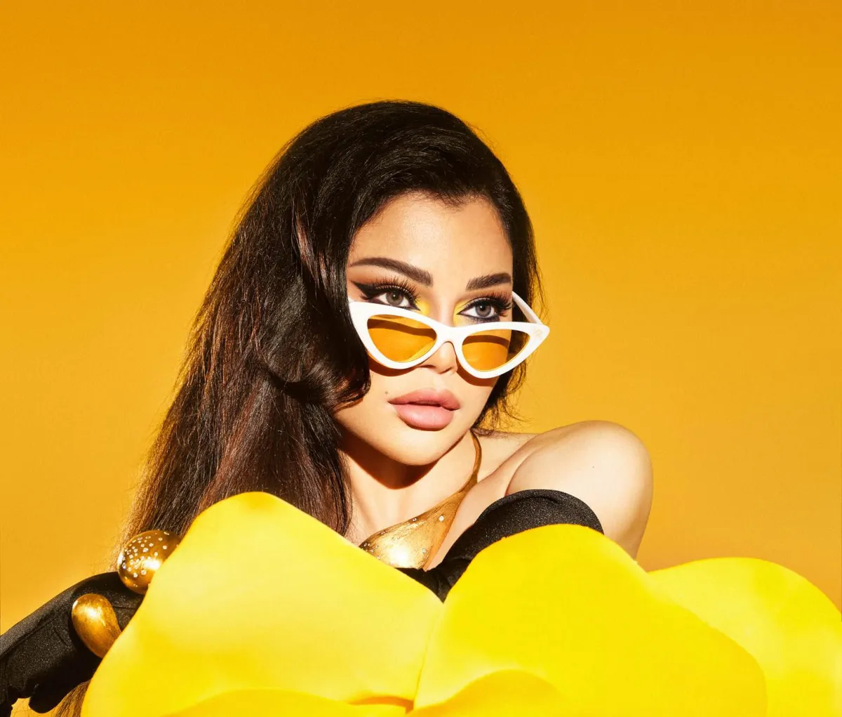 هيفاء وهبي - الصورة من صفحتها الرسمية على الفيس بوك