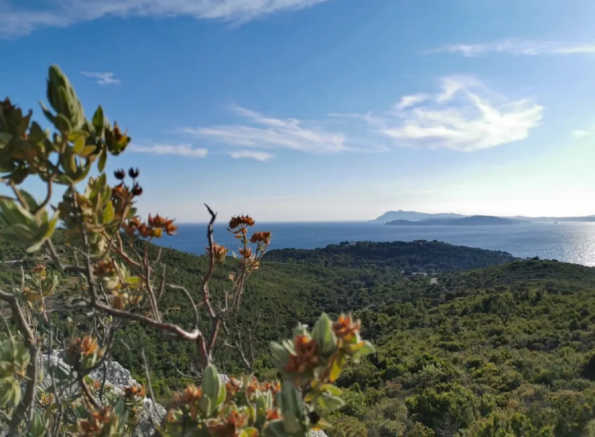 حديقة بورت كروس الوطنية