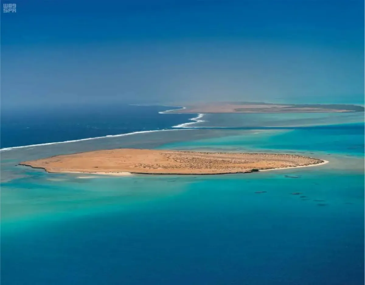 البحر الأحمر