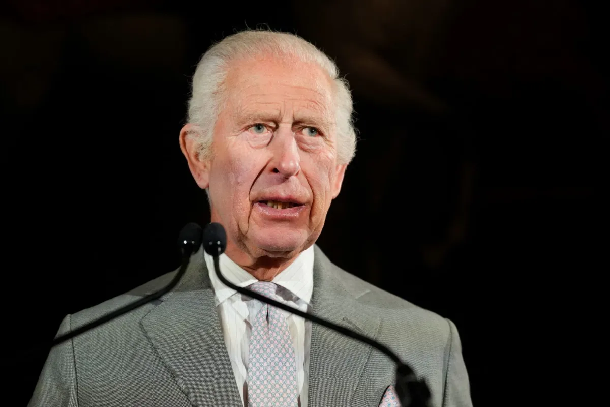 الملك تشارلز الثالث في قصر سانت جيمس بوسط لندن (King Charles III at St James' Palace, in central London). مصدر الصورة: Kirsty Wigglesworth / POOL / AFP