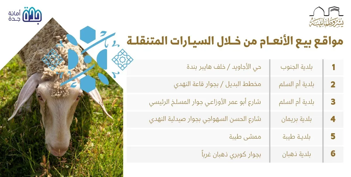  مواقع بيع الانعام