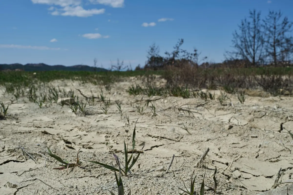 أرض تعاني من التصحر والجفاف
