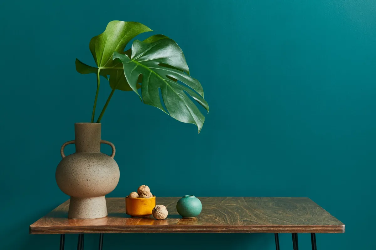 طلاء أخضر في غرفة المعيشة