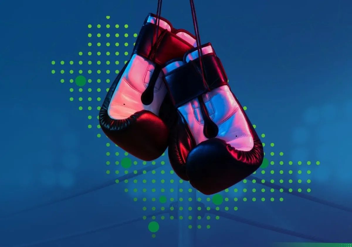 الركل والملاكمة